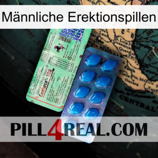 Männliche Erektionspillen new02